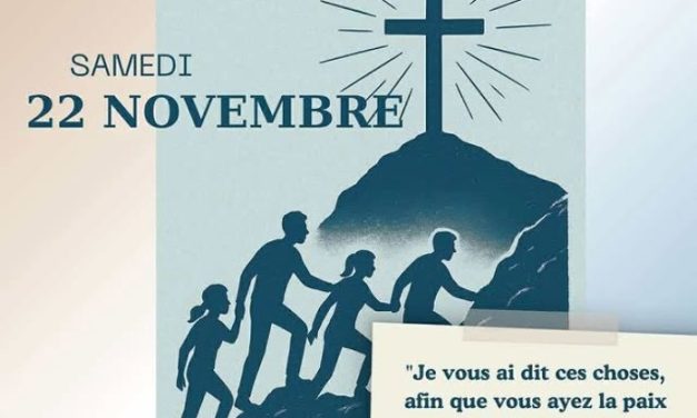 LDF STK Montpellier – Samedi 22 novembre